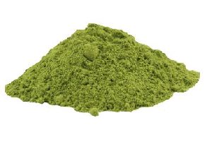 Common  Drumstick Powder